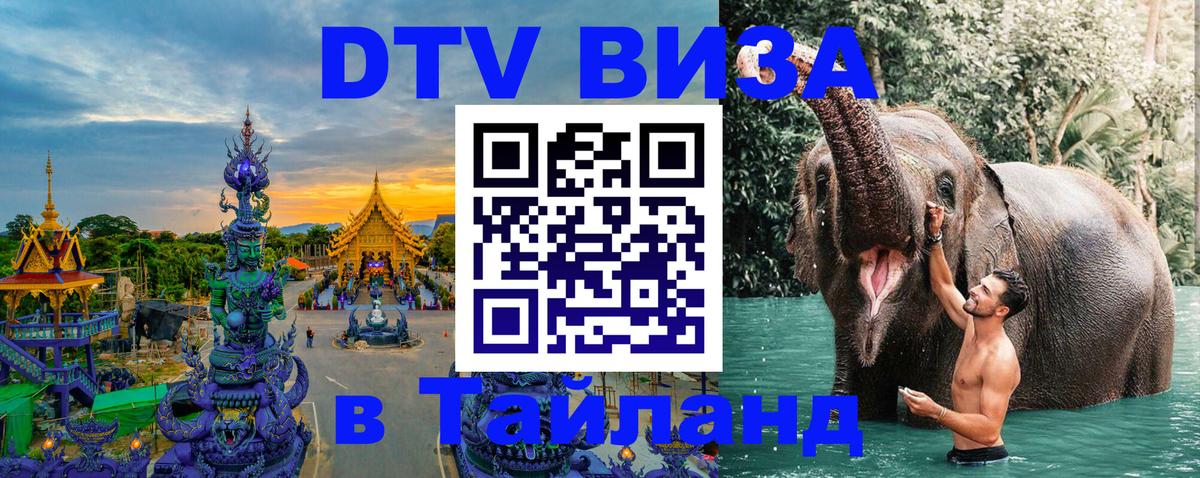 Сколько стоит DTV виза — актуальные цены, оформление даже без документов - 21.11.2025 
